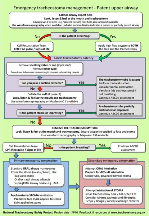 Emergency tracheostomy algorithm - obsgynaecritcare